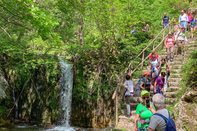 Private Tour: Amalfi Valle delle Ferriere Nature Reserve Walking Tour - What you should expect at the finish in Amalfi center