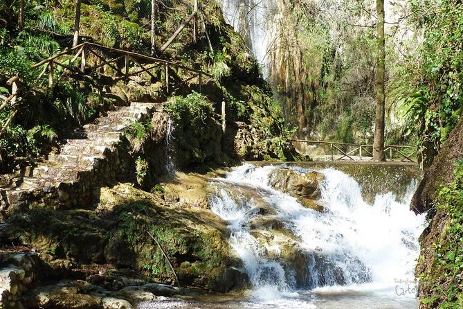 Private Tour: Amalfi Valle delle Ferriere Nature Reserve Walking Tour - Price and value: what you pay for in a private nature reserve hike