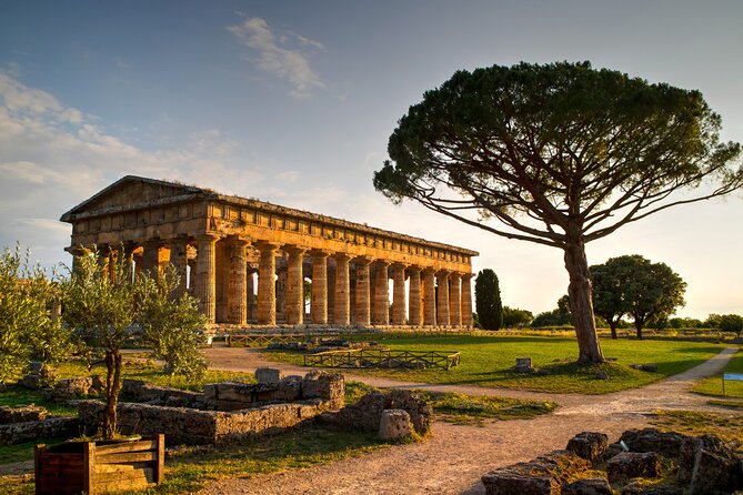 Private Tour from Salerno to Vietri sul mare, Pompeii and Paestum - Paestum’s Greek temples: walking among columns with time to breathe