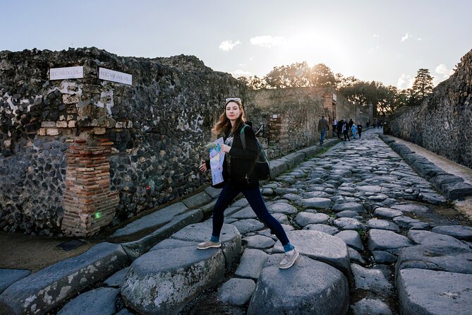Private Tour from Salerno to Vietri sul mare, Pompeii and Paestum - What’s included, what you pay at the parks, and what to bring