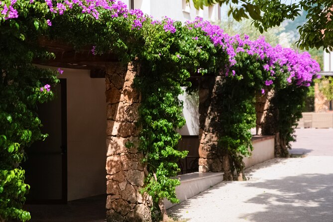 Private Tour: Paestum, Mozzarella Bufala guided tour and lunch - Key highlights
