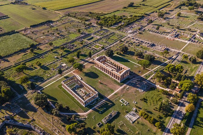Private Tour: Paestum, Mozzarella Bufala guided tour and lunch - Lunch at Tenuta Vannullo: a tasting meal that doesn’t feel rushed