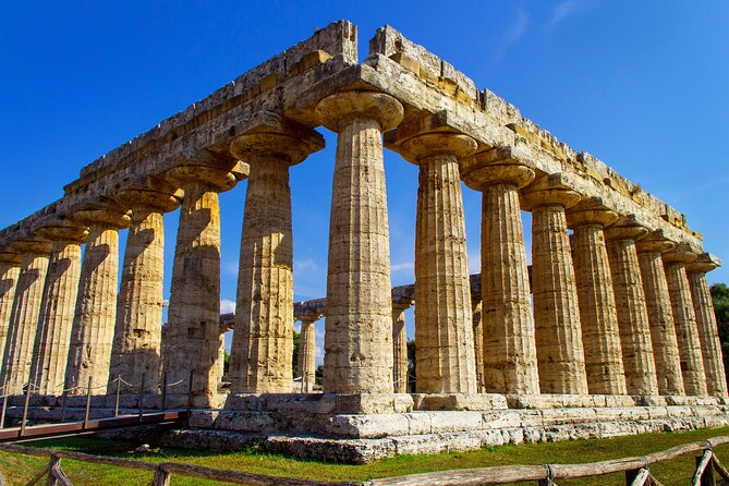 Private Tour: Paestum, Mozzarella Bufala guided tour and lunch - Timing, transport, and what to expect in a private day