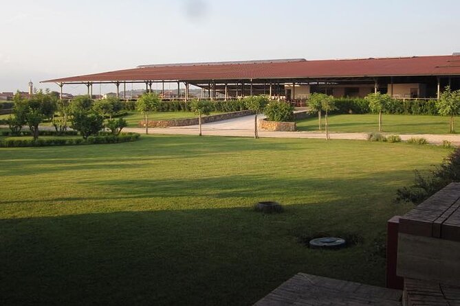 Private Tour: Paestum, Mozzarella Bufala guided tour and lunch - Paestum’s Doric temples: walking the 6th-century BC atmosphere