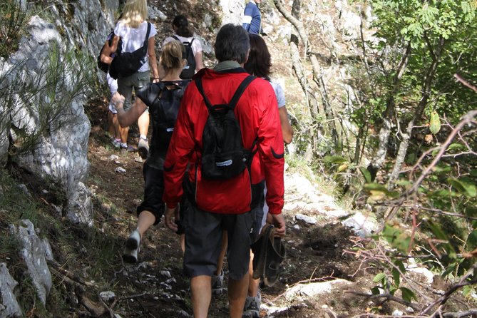 Private Tour: Truffle-Hunting Experience from Amalfi Coast with Lunch - Key moments you will remember