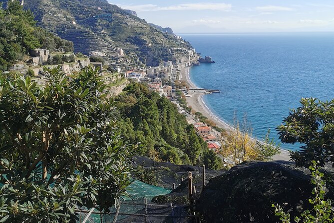 Private tour with tasting at the Sentiero dei Limoni - Key things to know before you go