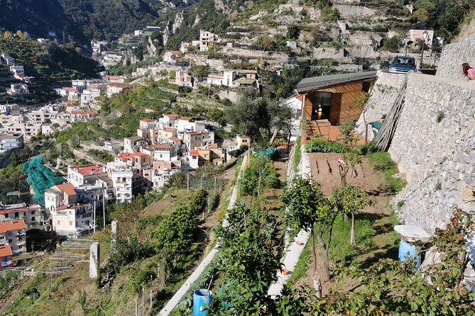 Private tour with tasting at the Sentiero dei Limoni - The lemon path to Spiaggia di Minori: views, rhythm, and sea air