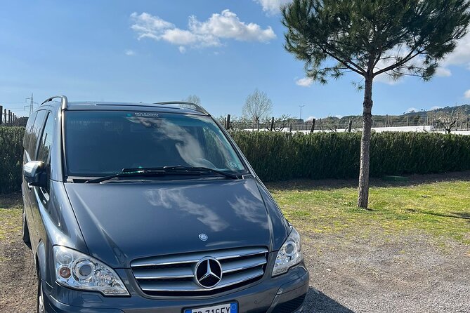Private Transfer from Positano to Naples Airport - Arrival at Naples Capodichino Airport or Naples city center