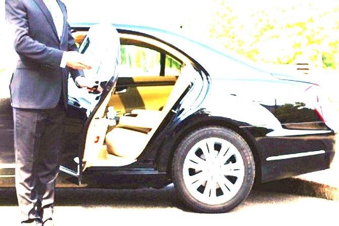 Private transfer Positano to Roma - The driver: punctual, professional, and bilingual on request