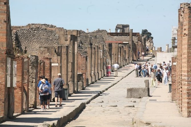 Salerno Shore Excursion: Private Pompeii Tour - Who should book this tour