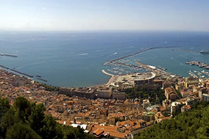 Salerno Shore Excursion: Private Pompeii Tour - Pompeii’s 79 AD story, and why it hits harder in person