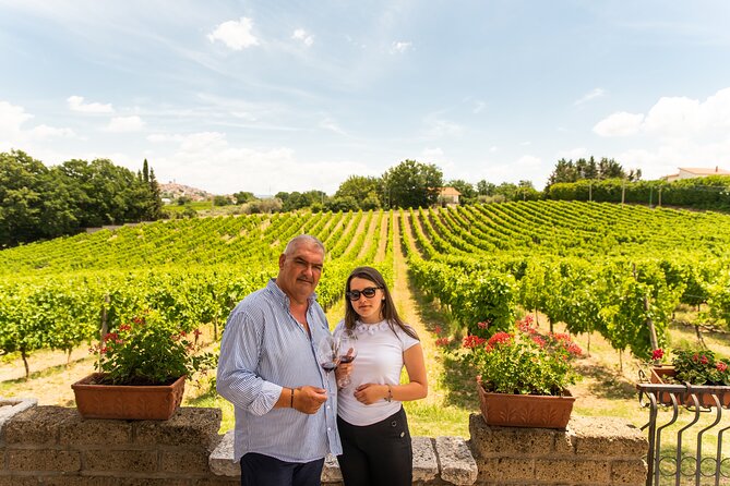 Sella delle Spine Taurasi: Tasting, Vineyard and Cellar Tour - Key highlights at Sella delle Spine, Taurasi