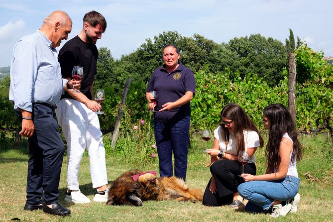 Sella delle Spine Taurasi: Tasting, Vineyard and Cellar Tour - The tasting lineup: Eugenia, Don Raffaele, and Taurasi