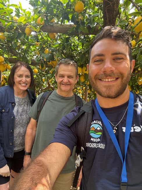Sentiero dei Limoni: Walk Through Lemon Groves and Sea Views - Why the Sentiero dei Limoni feels different on the Amalfi Coast