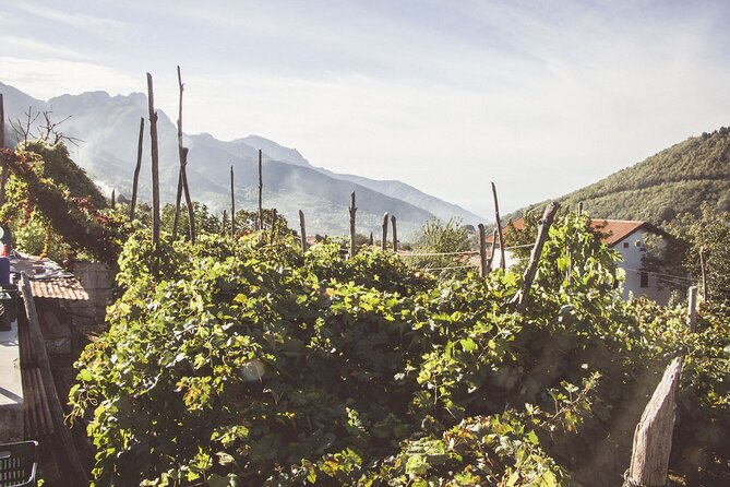 Sunsets Wine Tasting at Tagliafierro Winery - Key Highlights You Will Feel in This Wine Tasting
