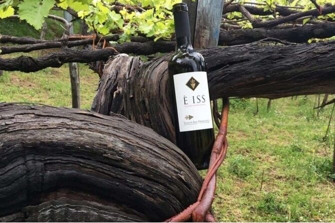 Tenuta San Francesco Wine Tasting - Key things to look forward to