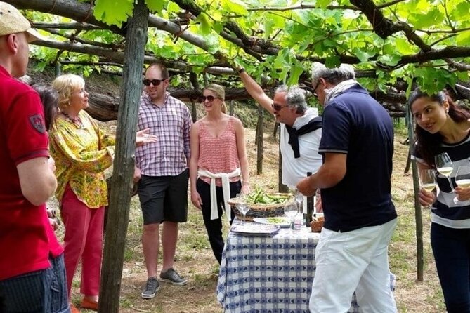Tenuta San Francesco Wine Tasting - The three Amalfi Coast Tramonti DOC wines to taste
