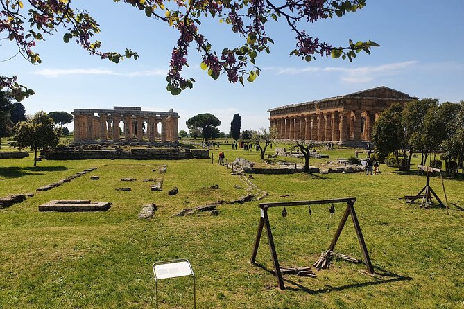 Tour at the Temples and the National Museum of Paestum - Stop 2: Parco Archeologico di Paestum e Velia and the Greek-temple walk