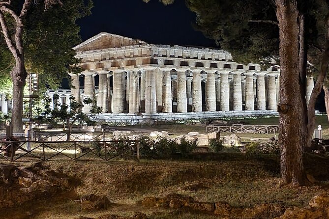 Tour at the Temples and the National Museum of Paestum - Price and value: $150.19 plus the €15 entrance ticket