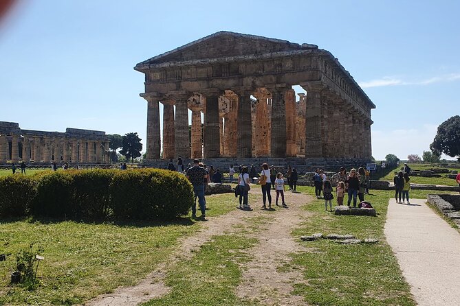 Tour at the Temples and the National Museum of Paestum - Museum plus ruins, in the right order