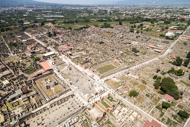 Vesuvio and Pompeii Tour from Salerno - Price and value: what $116.14 buys you