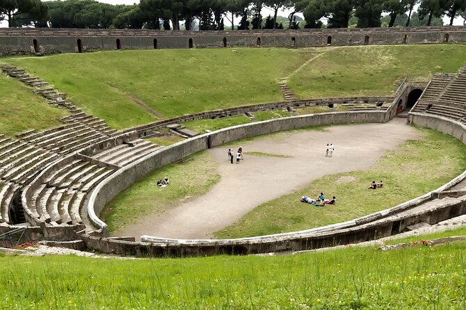 Vesuvio and Pompeii Tour from Salerno - Who this Vesuvius and Pompeii tour suits best