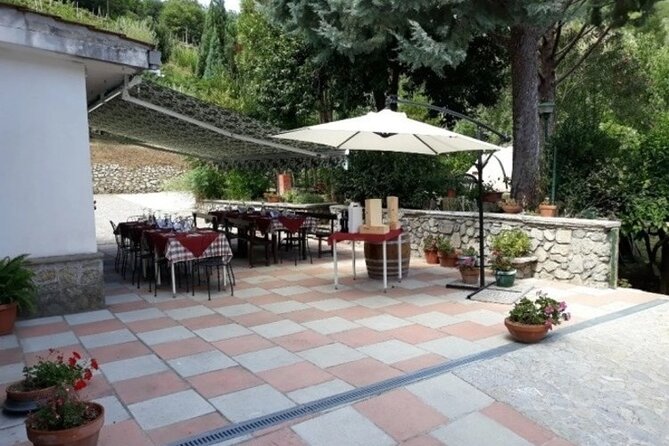 Wine Tasting at Basileo Cellar with Lunch - Getting to Basileo Vini, and what 11:30 changes for you