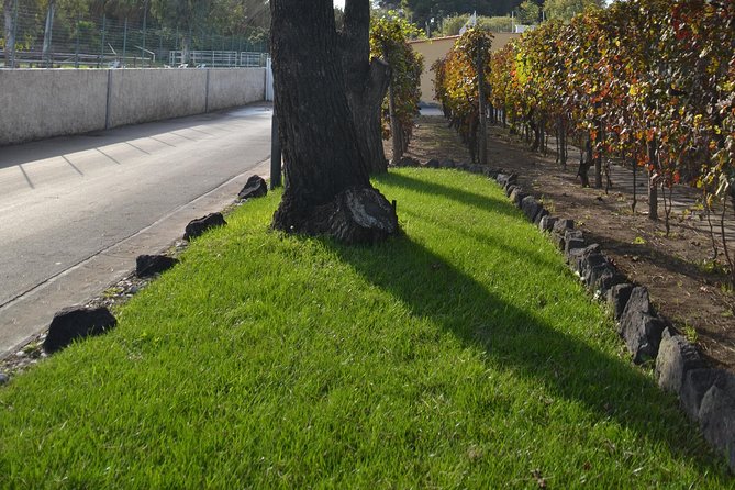 Wine Tour Experience for Family or friend's group - Price and value: is $578.30 per person fair here?
