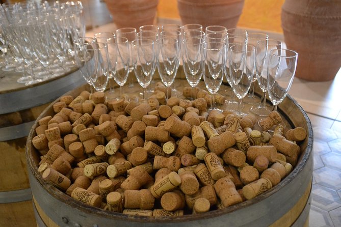 Wine Tour Experience for Family or friend's group - When I would skip it