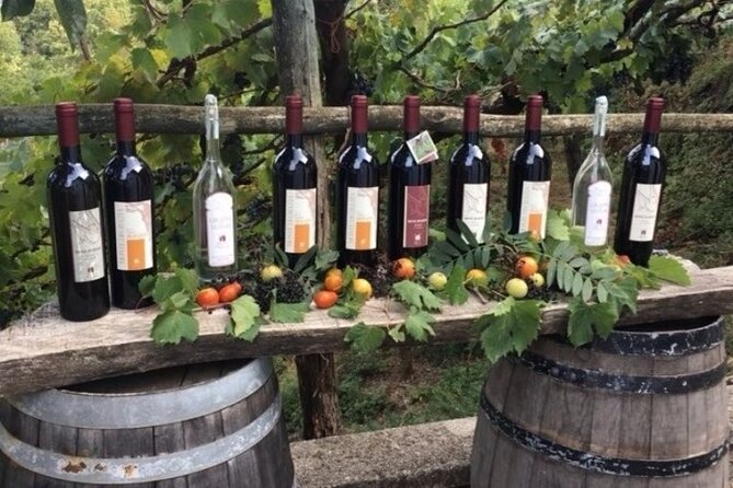 Wine Tour (lunch included) - Stop 2: Cantina Tagliafierro and a second tasting with context