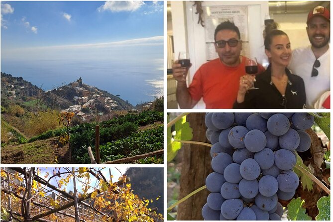 Wine trails from Positano with tasting - Key highlights worth your time
